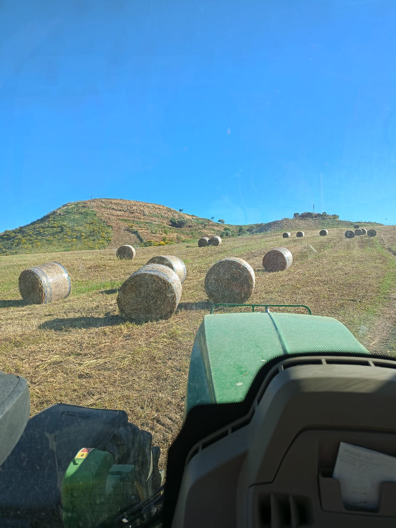 Azienda Agricola Cascio