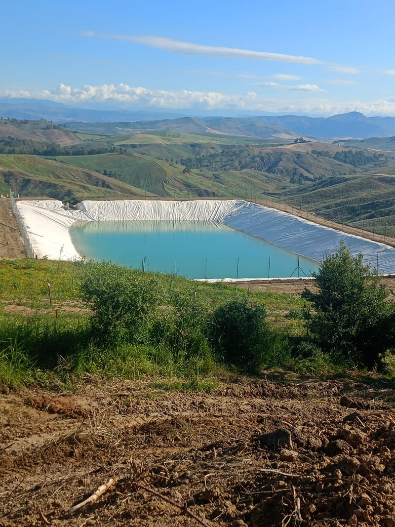 Azienda Agricola Cascio