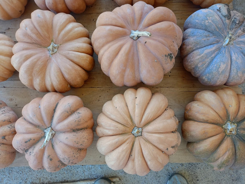 Azienda Agricola Cascio