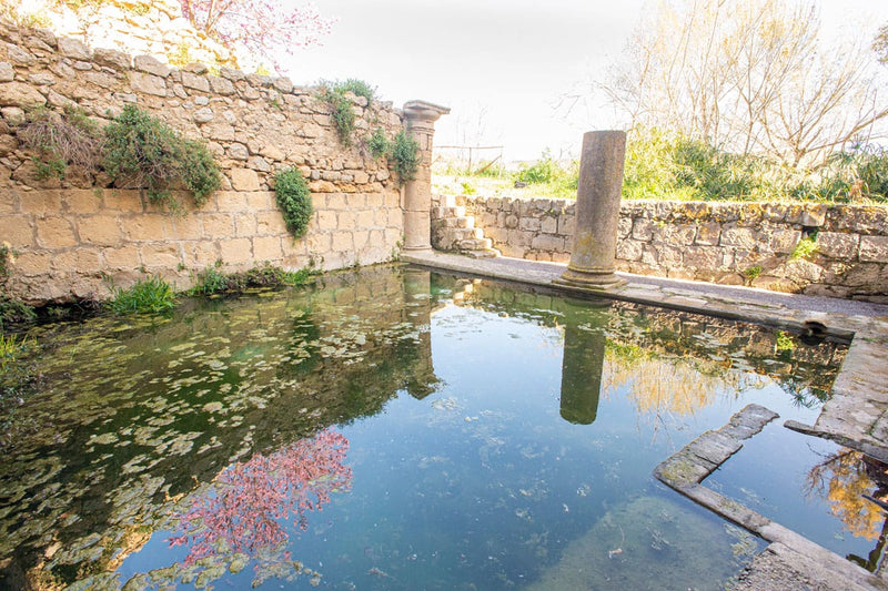 Feudo Rosso di Cerami